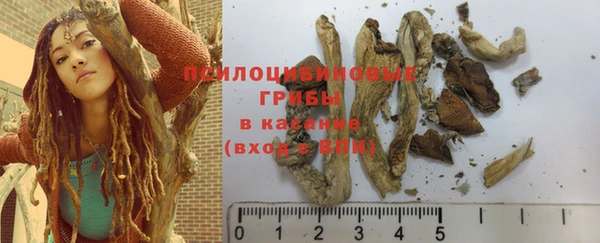 2c-b Богородицк