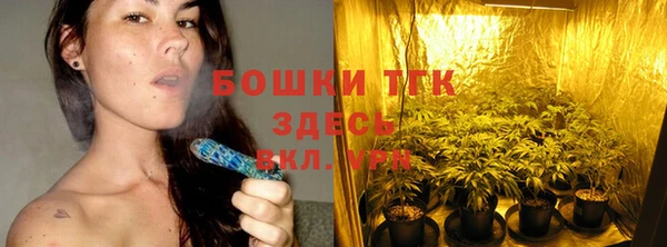 2c-b Богородицк