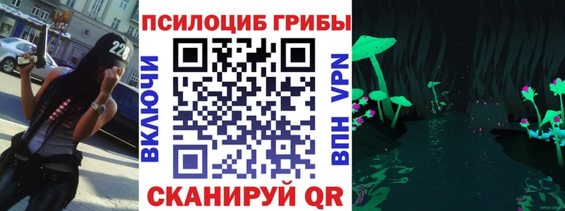Галлюциногенные грибы Psilocybe  Купить  Ревда 